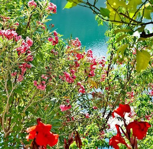 Azul Eco Отель Феррейра-ду-Зезери